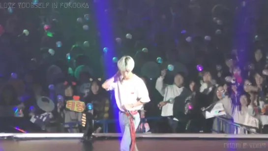 190217 BTS - Anpanman @ Love Yourself World Tour