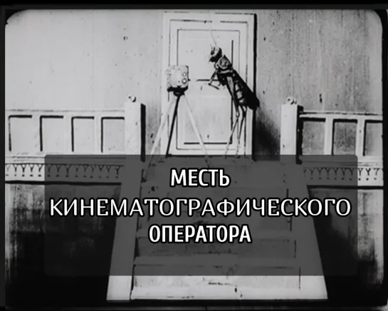 Месть кинематографического оператора (1912) Владислав Старевич _ Ladislas Starewitch. Российская Империя