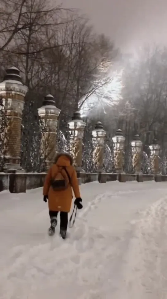 Санкт-Петербург, улица, снег...