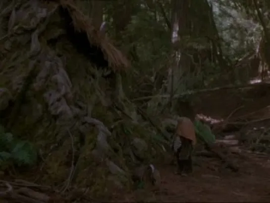 Star Wars - Ewoks: La lucha por Endor (1985)