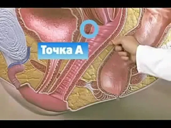 Точка джи у женщин точка G)