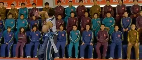 Ушу / Wushu (2008)