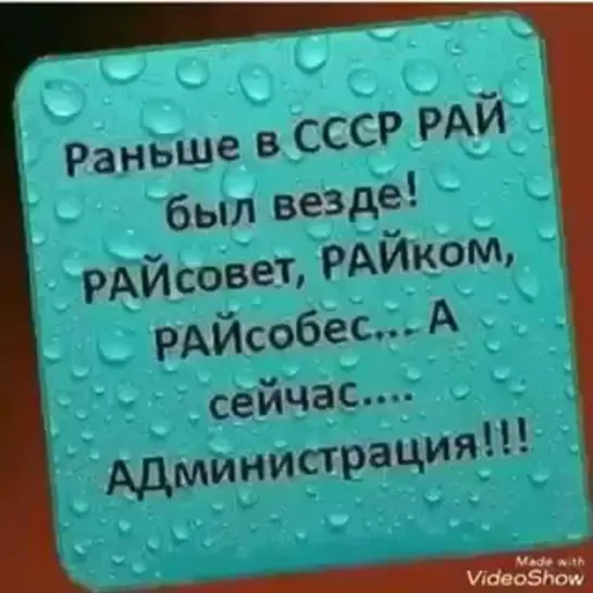 БЕЗ СЛОВ