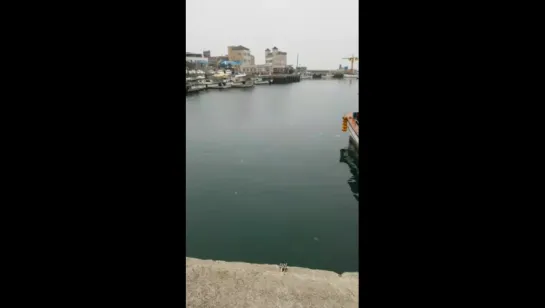 170105 Jaehyo periscope