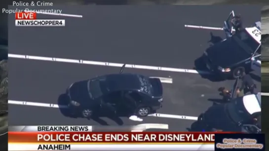 Police Chase Stolen Taxi Pursuit - Stolen Car Disneyland