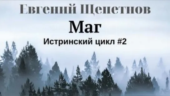 Щепетнов Евгений Истринский цикл 2 Маг Пожилой Ксеноморф (1)