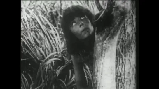 Тарзан  приемыш обезьян  Tarzan of the Apes (1918)