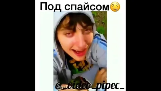 наш подпичсик