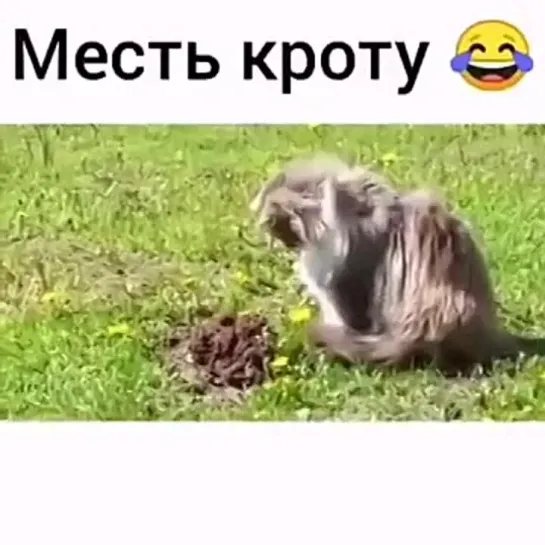 Отношения и любовь