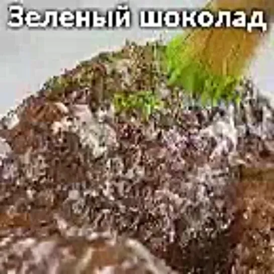 Отношения и любовь