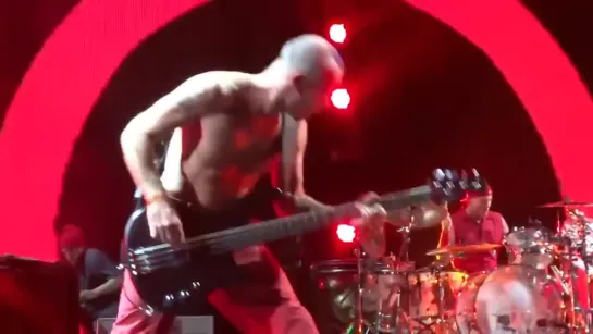 Red Hot Chili Peppers 2014-02-01 Brooklyn, NY (FULL SHOW - MULTICAM)