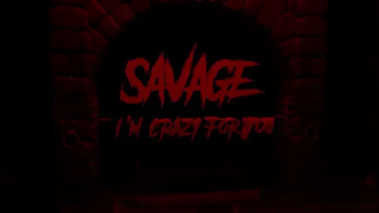 Savage - I’m crazy for you