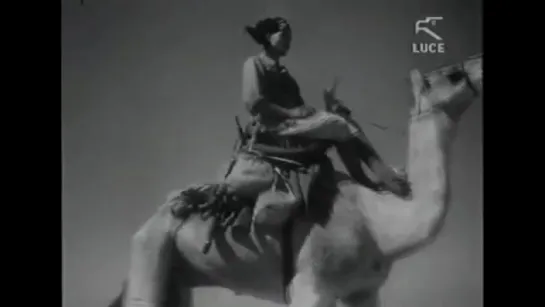 Cinegiornali Di Guerra   5-27   Loffensiva In Africa E Lattacco Alla Grecia Sett Ott1940