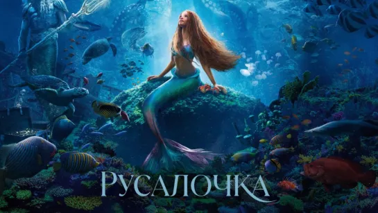 Русалочка.2023.1080p.60fps 
📟Продолжительность: 2ч 15м✔️