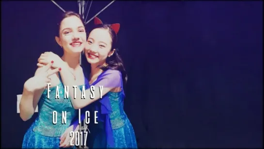 FAOI2017