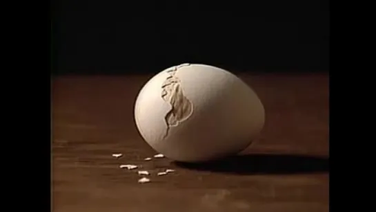 Bill Viola. Egg Hatch