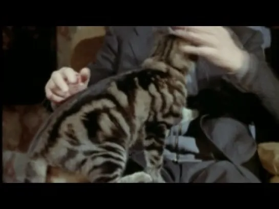 ☼ Кот 1971 Le chat реж. Пьер Гранье-Дефер