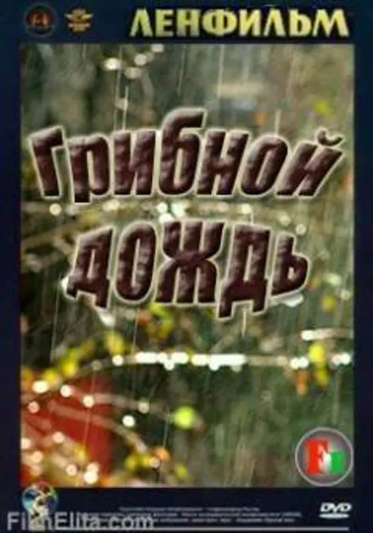 Грибной дождь 1982  #Грибной #дождь #кино #кинобыловремя #быловремя