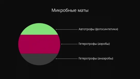 Уровни организации живой материи. Мария Летарова - Микробиология #4