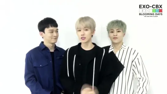 180410 EXO CBX @ EXO-CBX MelOn Message