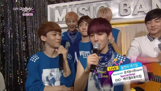 130705  EXO - Interview @ Music Bank