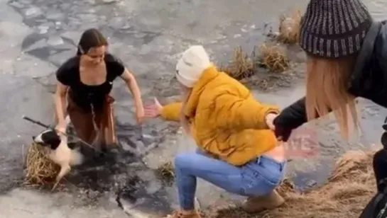 Врач из Мытищ нырнула за собакой в ледяную воду. Видео