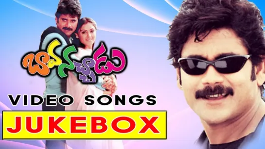 "Bava Nachadu" 2001 Telugu Movie Full Video Songs Jukebox  Nagarjuna Akkineni Simran Reema Sen