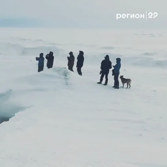 Видео от Регион 29