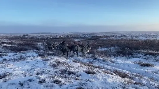 Видео от Регион 29