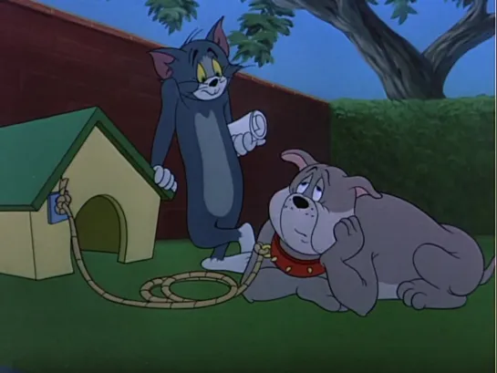 Том и Джерри HD | Tom and Jerry HD | Серия 95 - Умный котик | Перевод - Юрий Живов