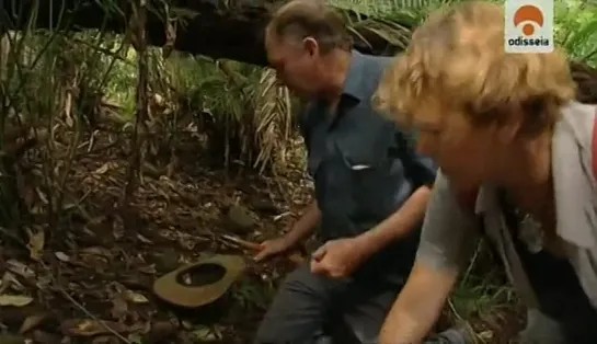 Tarantula: La reina de Australia