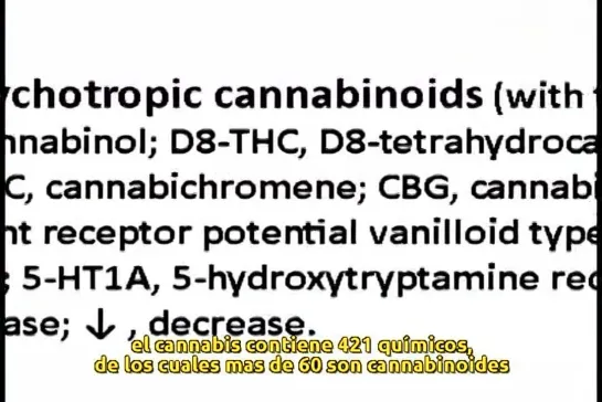 DOCUMENTARY.ES - CannabisCancer.mp4