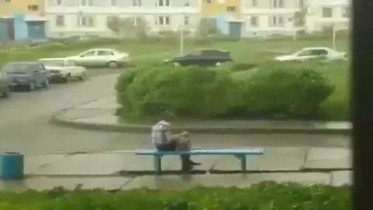 Атмосферное видео