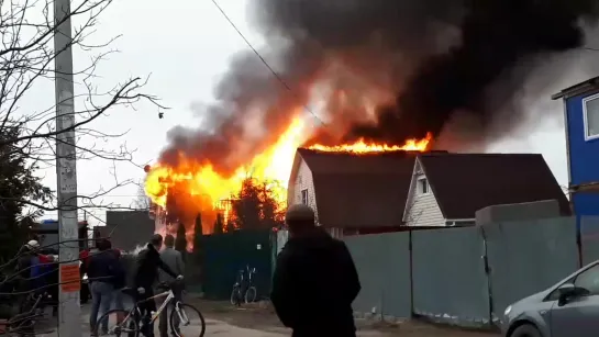 Пожар в садоводстве Разлив (14я дорожка) (1)