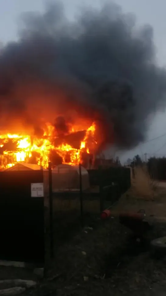 Пожар в садоводстве Разлив (14я дорожка) (2)