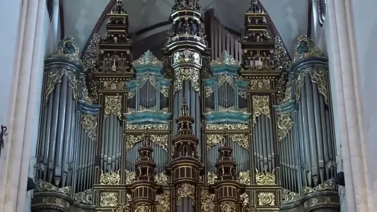 J.S. Bach _ Toccata and Fugue in D minor BWV 565 _ Liene Andreta Kalnciema live at Riga Cathedral