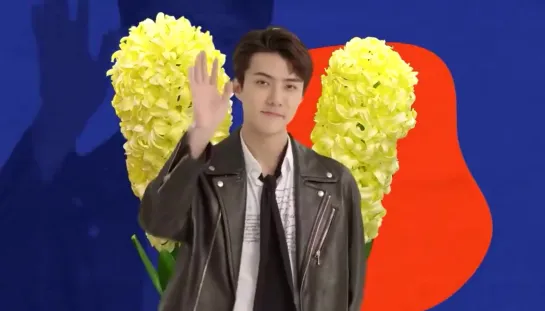 [VIDEO] Sehun @ "Busted!" Season 2 Teaser