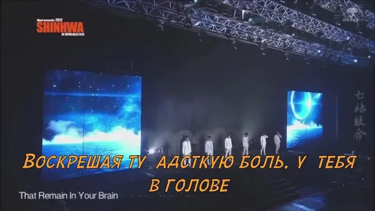 Shinhwa - T.O.P (2012 Concert in Japan)  [рус.саб]