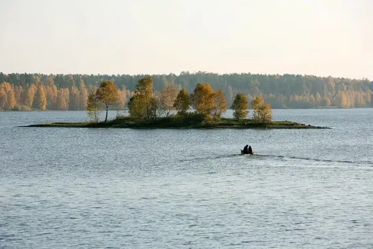 Овсянки (2010) 16+