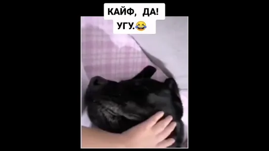 кайф да - угу.