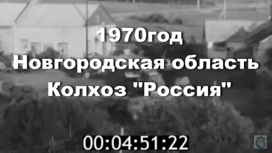 1970г.Новгородская область Колхоз "Россия"