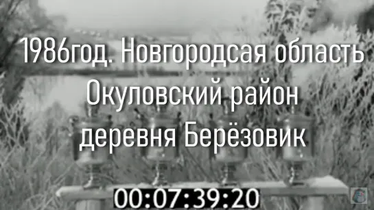 1986г. Новг.обл.Окуловский район.деревня Берёзовик