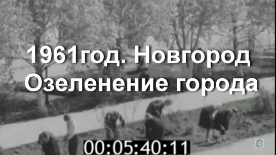 1961год. Новгород. Озеленение города