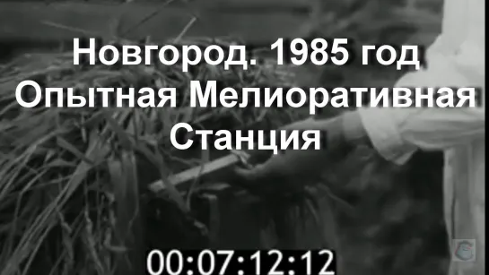 1985г. Новгород. Опытная Мелиоративная Станция