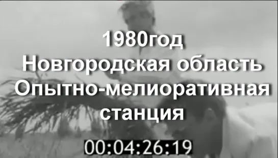 1980г. Новг. область. Опытно-мелиоративная станция