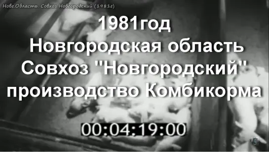 1981г. Новгородская область. Совхоз "Новгородский"