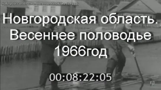 1966г - Новг.область. Весеннее половодье