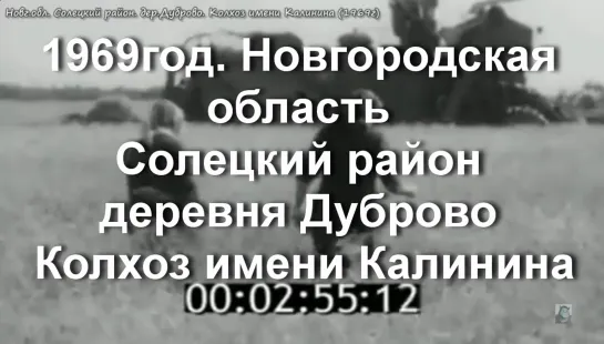 1969г. Новг. область. Солекций район. дер.Дуброво. Колхоз имени Калинина