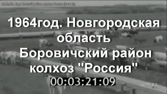 1964г. Новг. область. Боровичский район. колхоз Россия