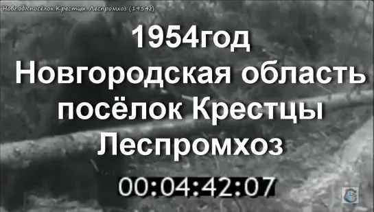 1954г. Новг.область. посёлок Крестцы Леспромхоз